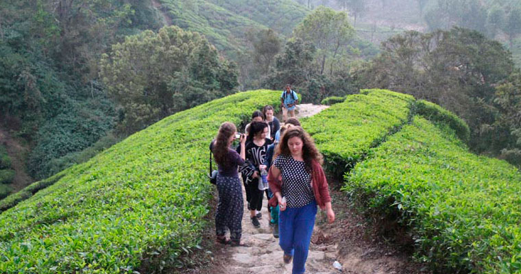 Adventure Vagamon Trekking.