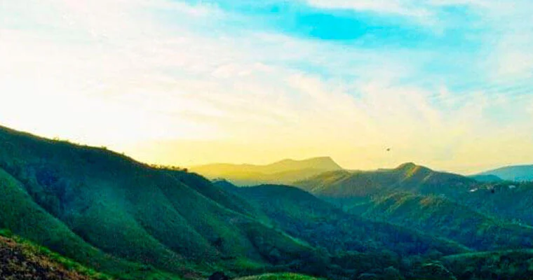 Orange Valley