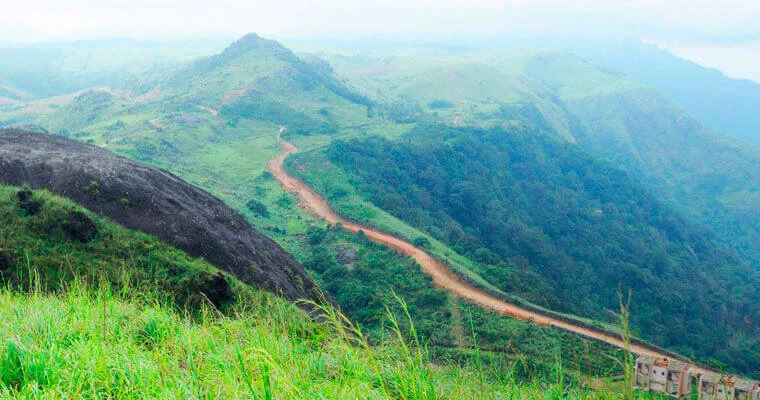 Karikad Top