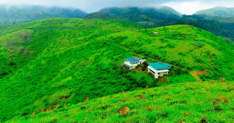 Uluppuni Forest Area- Trekking