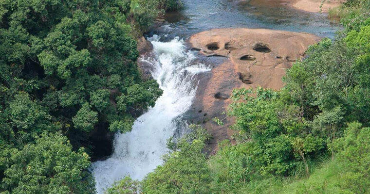 Palozhukum Para